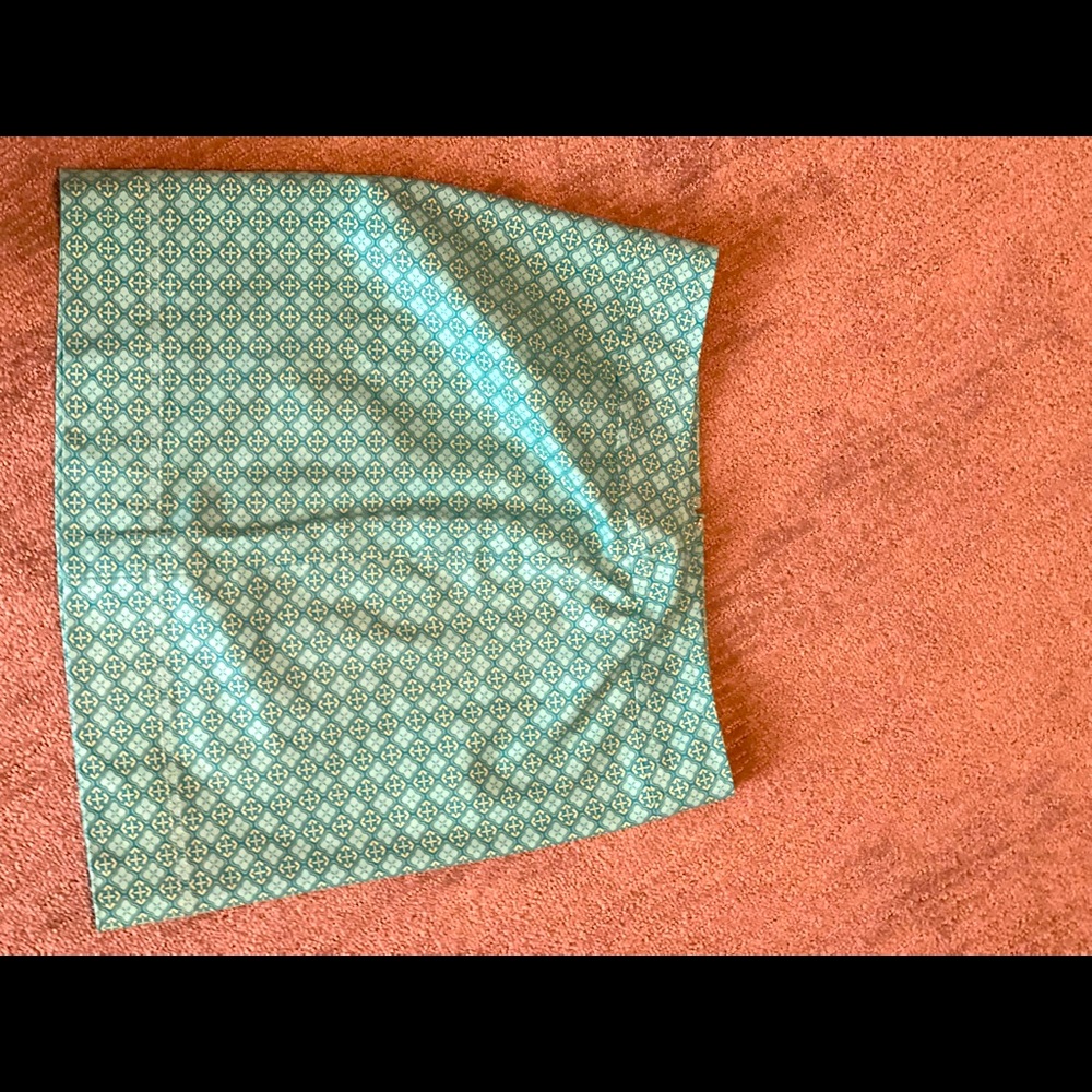 Ladies Talbots size 12 skirt